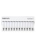 Зарядное устройство ROBITON VolumeCharger12 Зарядное устройство ROBITON VolumeCharger12