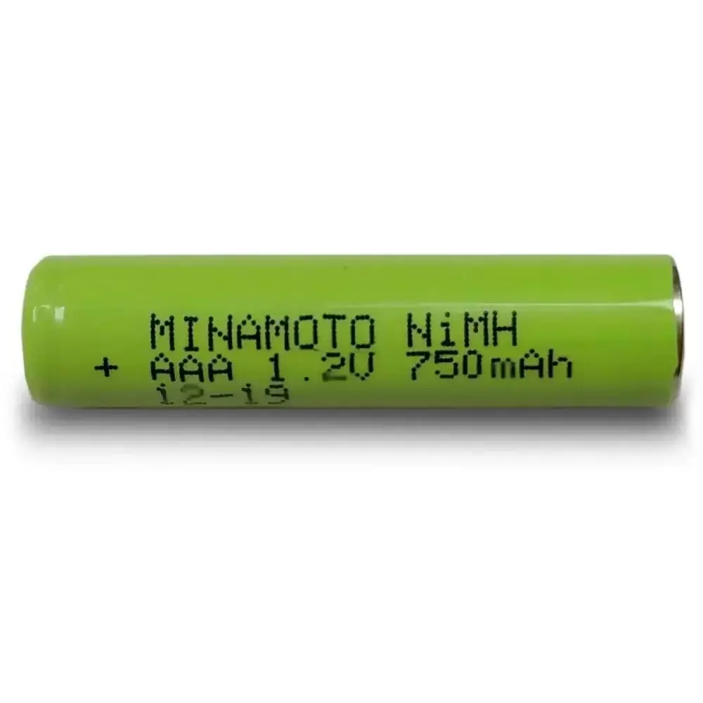 Аккумулятор MINAMOTO 750MHAAA prof PK1